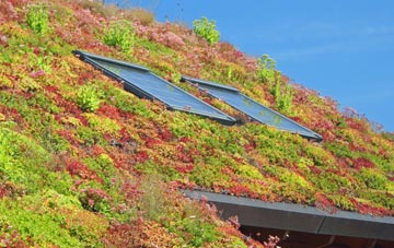 Coxford living roof systems