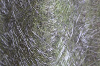 Coxford fibreglass roof work